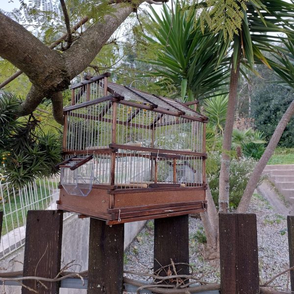 il_fullxfull.3668355897_bt44-scaled