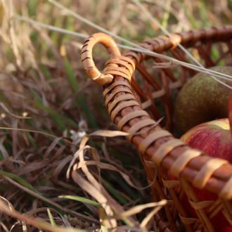 il_fullxfull.4146546110_1bje-escalado