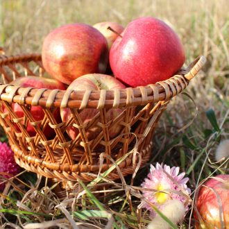 il_fullxfull.4194206235_e8jw-escalado