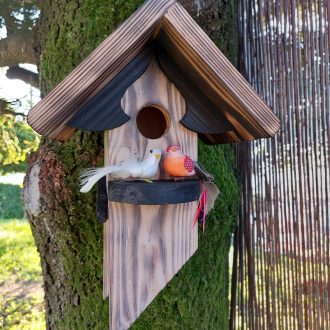 il_fullxfull.4356904418_j39a-scaled