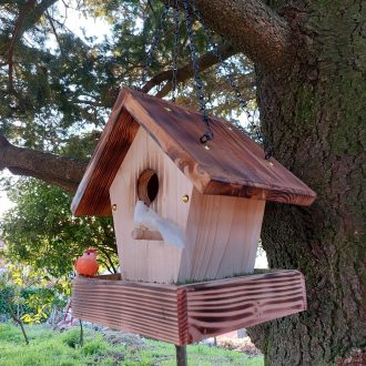 il_fullxfull.4362808216_o179-escalado