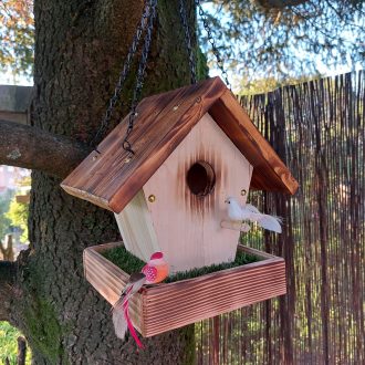 il_fullxfull.4410196683_q254-escalado