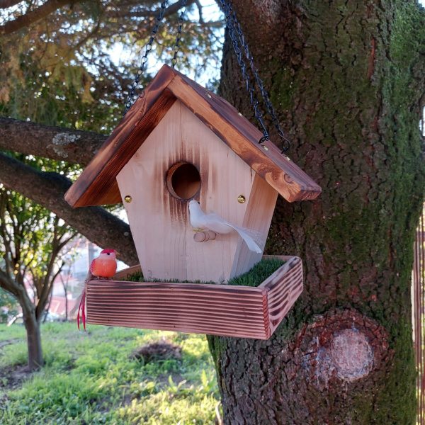 il_fullxfull.4410218491_j353-escalado