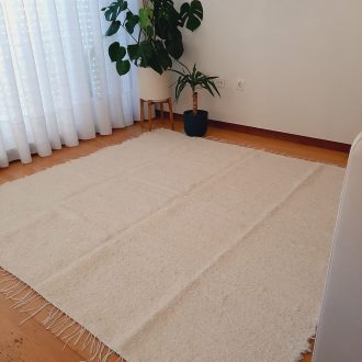 il_fullxfull.4666664389_s0b2-scaled