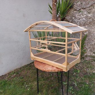 il_fullxfull.4767026916_hz91-scaled