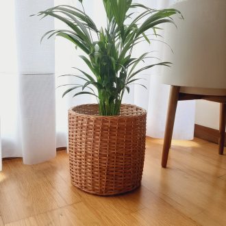 il_fullxfull.4772941440_fmjk-scaled