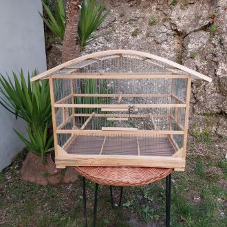 il_fullxfull.4815300393_augf-scaled