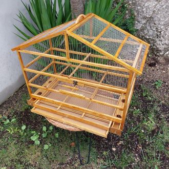 il_fullxfull.5041394401_naln-scaled