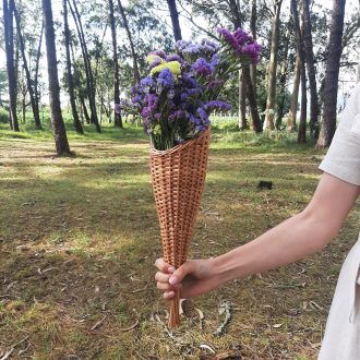 il_fullxfull.5075252985_cytd-escalado