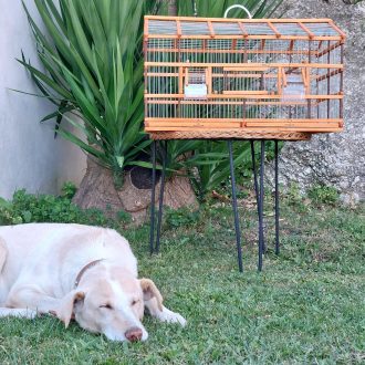 il_fullxfull.5190228669_noeo-scaled