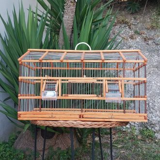 il_fullxfull.5190228723_m91v-scaled