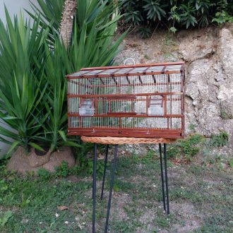 il_fullxfull.5318621559_9x6z-scaled