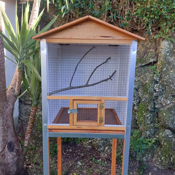 il_fullxfull.5621339600_t8ok-escalado