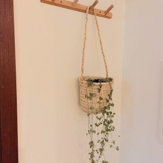 il_fullxfull.5894863118_lcgl-scaled