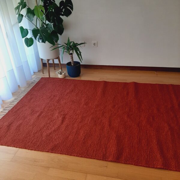 terracotta rug 170x240cm